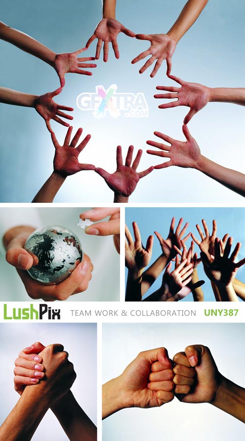 Lushpix UNY387 Team Work & Collaboration