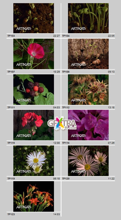 Timelapse Plants NTSC