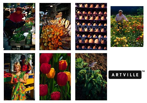Artville PH017 Farmers Markets
