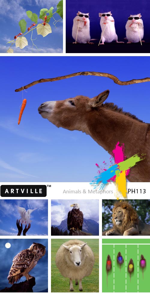 Artville PH113 Animals & Metaphors