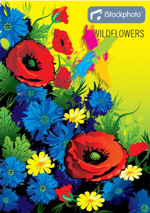 Wildflowers, EPS
