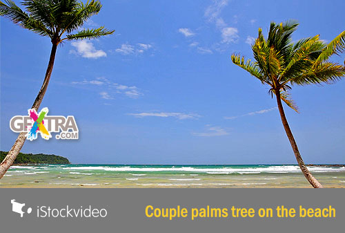 iStockVideo - Couple Palms Tree on the Beach HD720