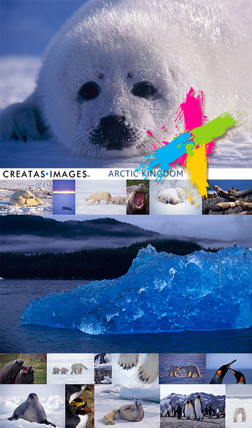 Creatas Images CRE166 Arctic Kingdom