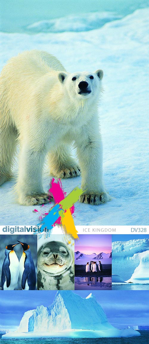 DigitalVision DV328 Ice Kingdom