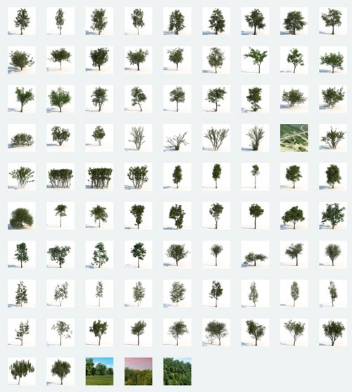 iCube - iTrees Vol.2 Summer, 3DMax