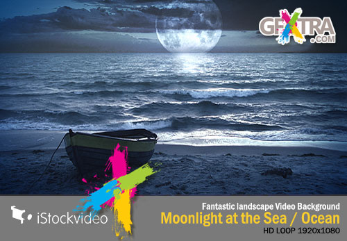 iStockVideo - Fantastic Landscape Video Background, Moonlight at the Sea/Ocean HD1080