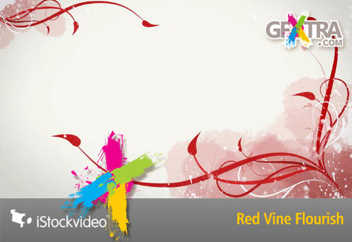 iStockVideo - Red Vine Flourish HD1080