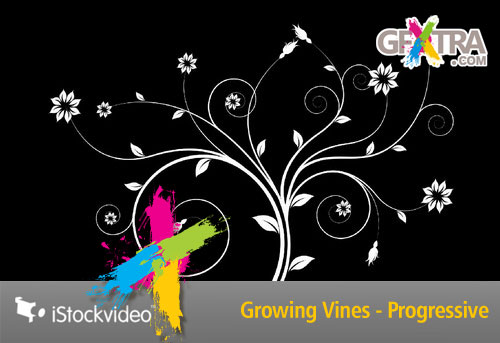 iStockVideo - Growing Vines - Progressive HD1080