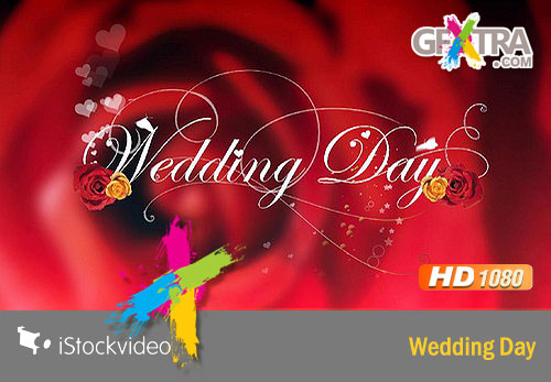iStockVideo - Wedding Day HD1080