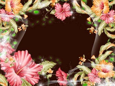 Photo frames - Paradise Flowers