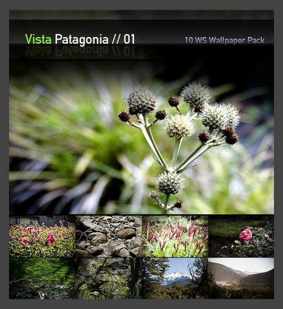Vista Patagonia Pack 1