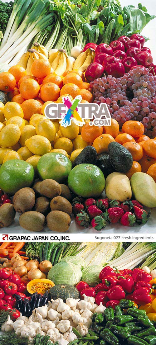 Sugoneta 027 Fresh Ingredients 8xCD 540xJPEG 1950xEPS