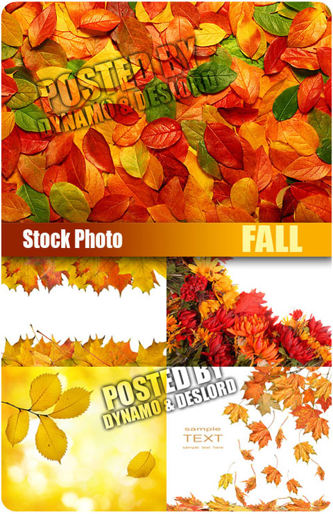 UHQ Stock Photo - Fall