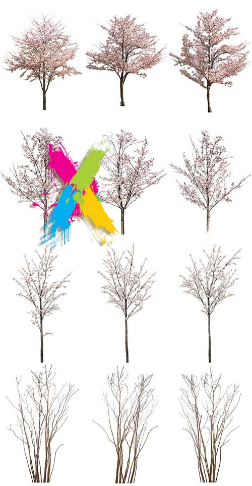 Tenkei Kobo CS15 Trees 4, 180 Transparent PNGs Tenkei Kobo CS15 Trees 4, 180 Transparent PNGs