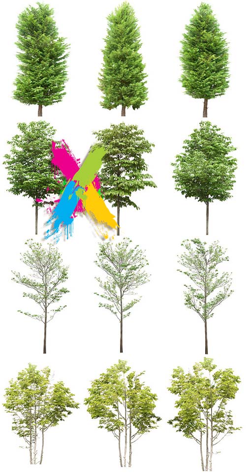 Tenkei Kobo CS15 Trees 4, 180 Transparent PNGs Tenkei Kobo CS15 Trees 4, 180 Transparent PNGs