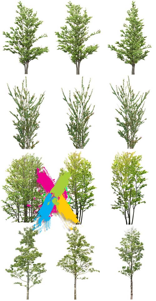 Tenkei Kobo CS15 Trees 4, 180 Transparent PNGs Tenkei Kobo CS15 Trees 4, 180 Transparent PNGs
