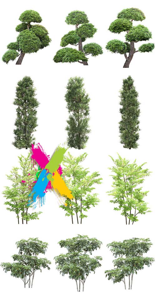 Tenkei Kobo CS15 Trees 4, 180 Transparent PNGs Tenkei Kobo CS15 Trees 4, 180 Transparent PNGs
