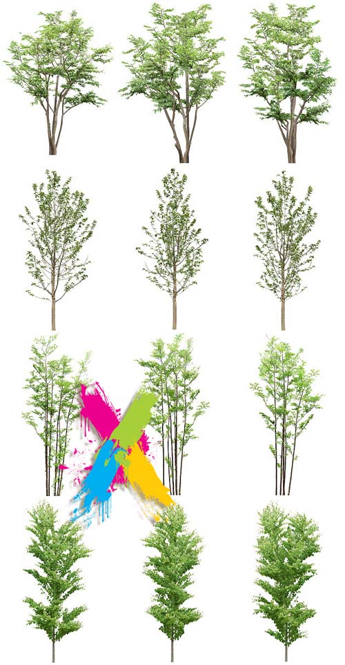 Tenkei Kobo CS15 Trees 4, 180 Transparent PNGs Tenkei Kobo CS15 Trees 4, 180 Transparent PNGs