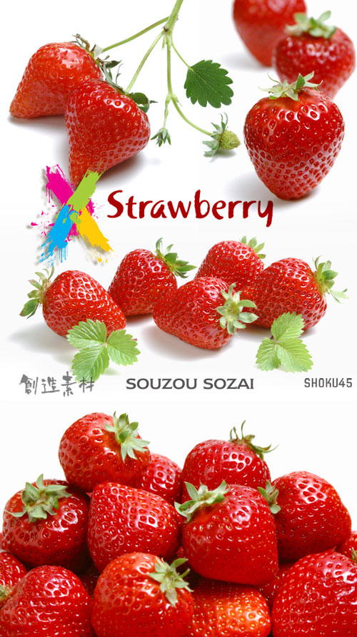 SouzouSozai SHOKU45 Strawberry