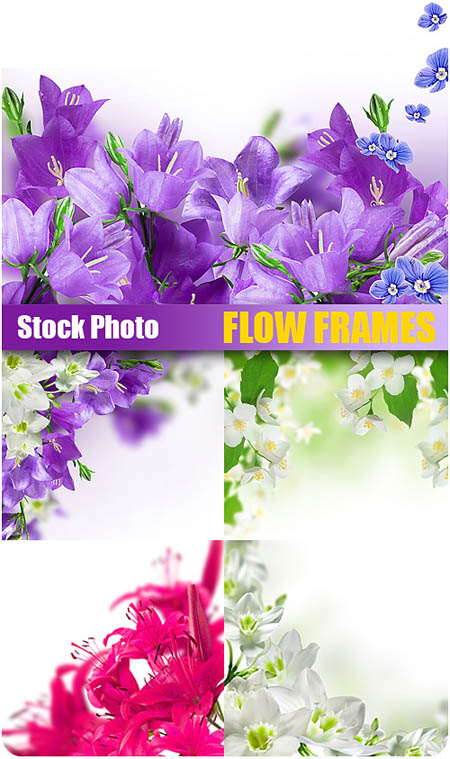 Stock Photo - Flower Frames