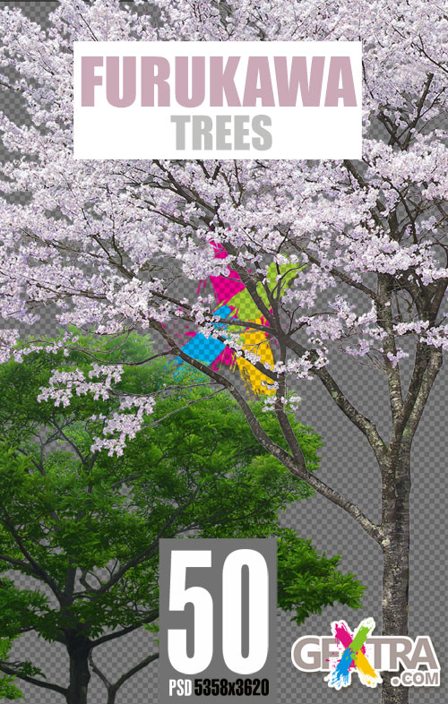 Furukawa 01 Trees 50xPSD