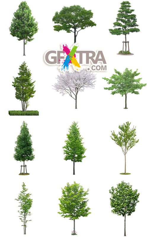 Furukawa 01 Trees 50xPSD