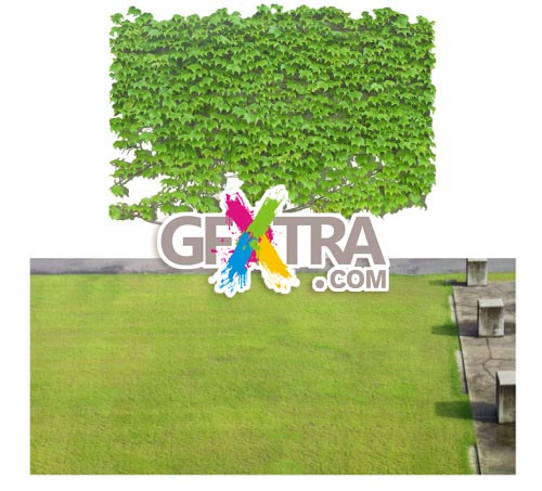 Furukawa 01 Trees 50xPSD