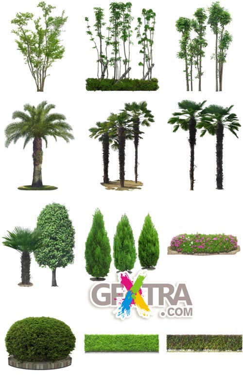 Furukawa 01 Trees 50xPSD