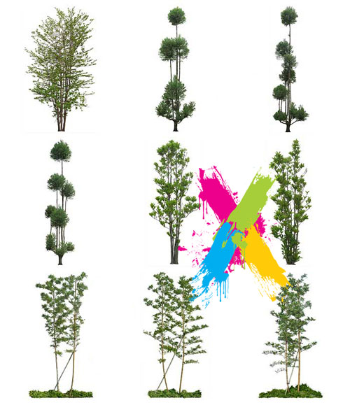 Furukawa 03 Trees 2003-05