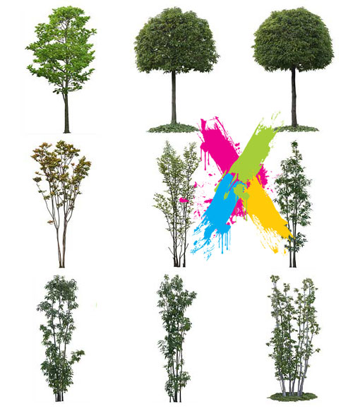 Furukawa 03 Trees 2003-05