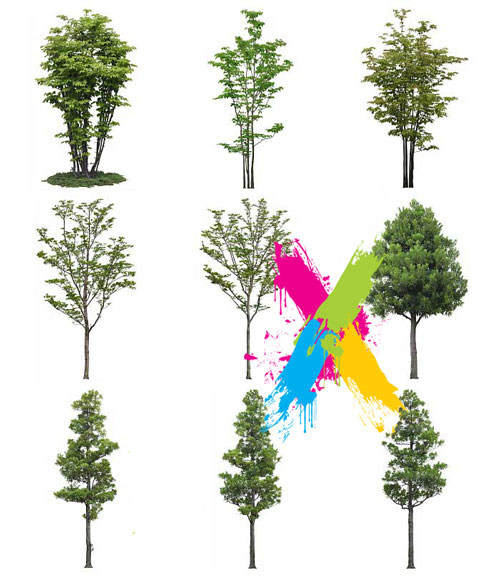 Furukawa 03 Trees 2003-05