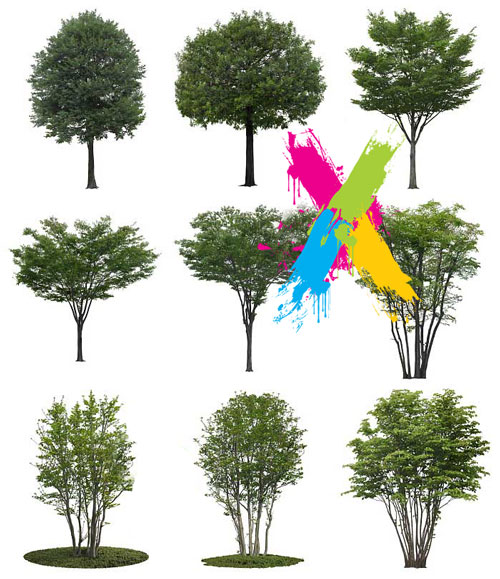 Furukawa 03 Trees 2003-05