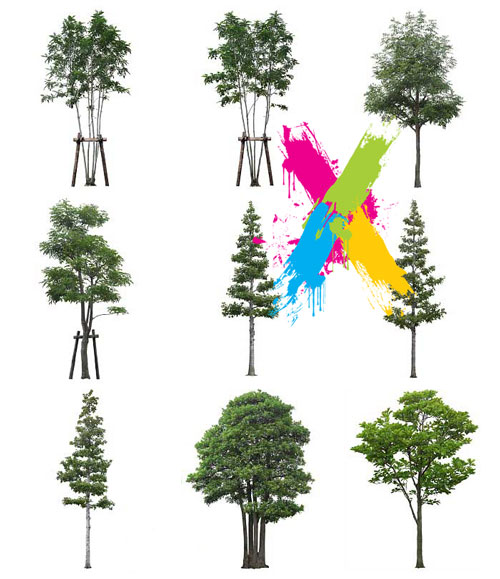 Furukawa 03 Trees 2003-05