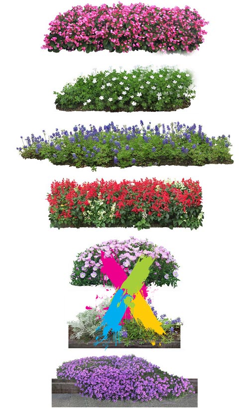 Furukawa 04 Flowers 2003-09A