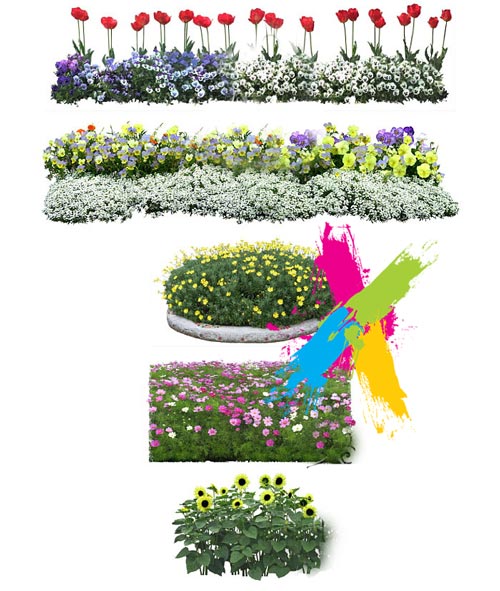 Furukawa 04 Flowers 2003-09A