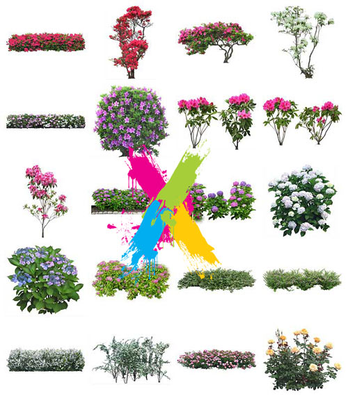 Furukawa 05 Flowers 2003-09B