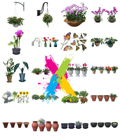 Furukawa 05 Flowers 2003-09B