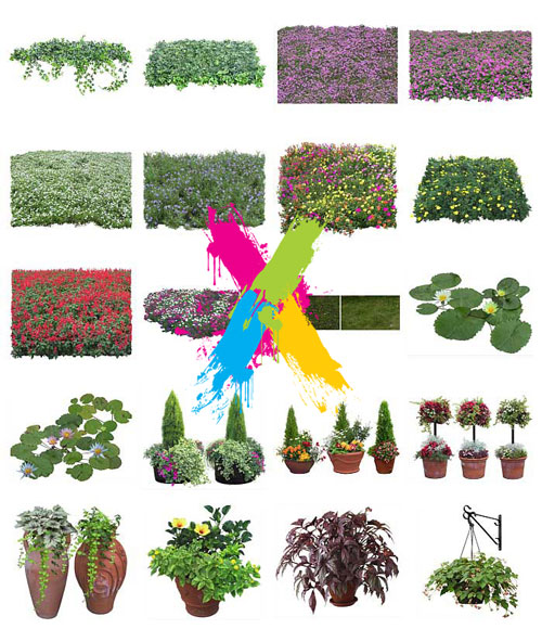 Furukawa 05 Flowers 2003-09B