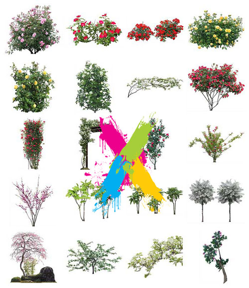 Furukawa 05 Flowers 2003-09B