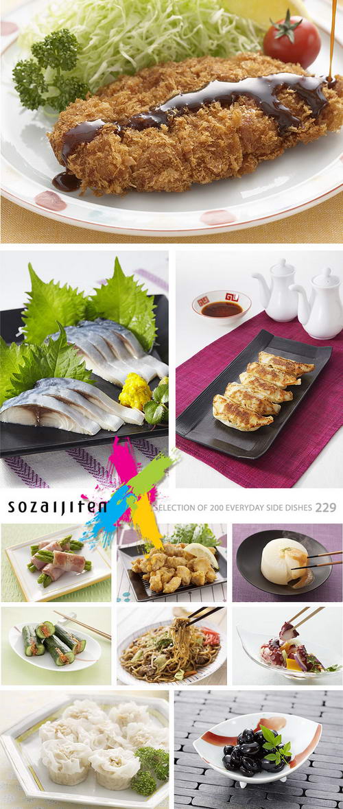 Datacraft Sozaijiten SZ229 Selection of 200 Everyday Side Dishes