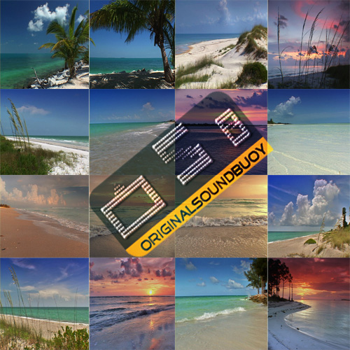 ArtBeats - Florida Beaches (V-Line)