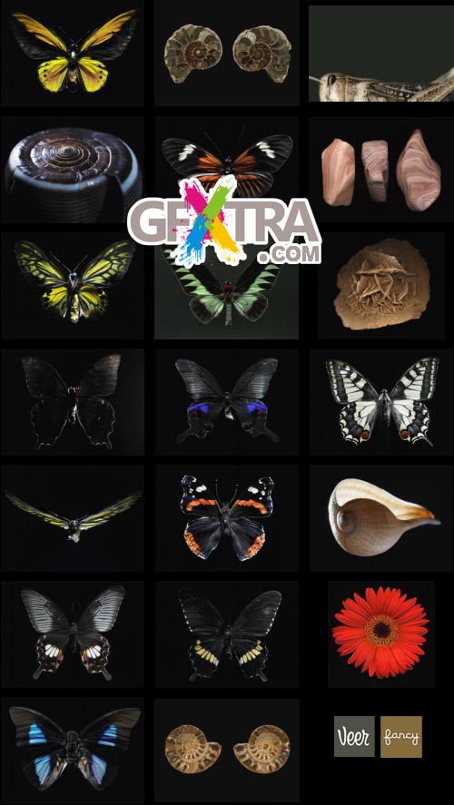 Veer Fancy FAN2036716 Design Line: Morphology Veer Fancy FAN2036716 Design Line: Morphology