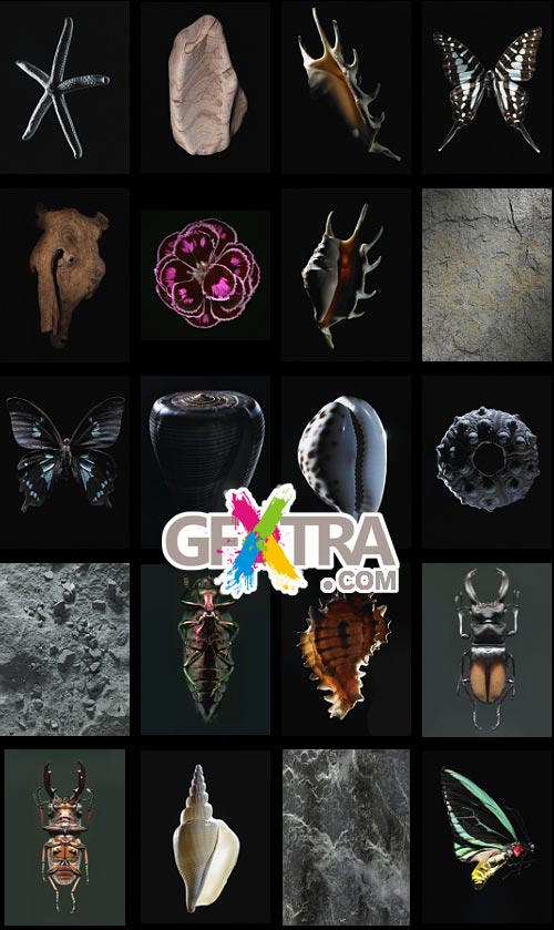 Veer Fancy FAN2036716 Design Line: Morphology Veer Fancy FAN2036716 Design Line: Morphology