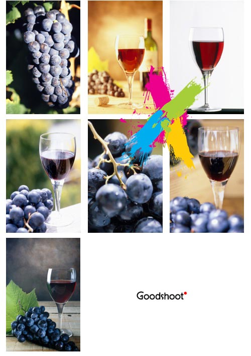 GoodShoot GS169 Wine