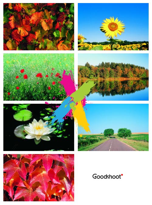 GoodShoot GS065 Roads & Landscapes