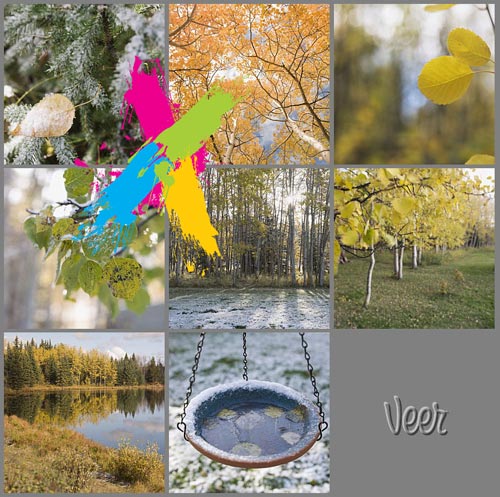 Veer Fancy FAN2040792 Fall to Winter