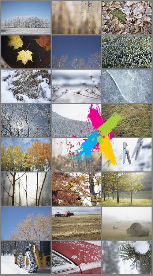 Veer Fancy FAN2040792 Fall to Winter