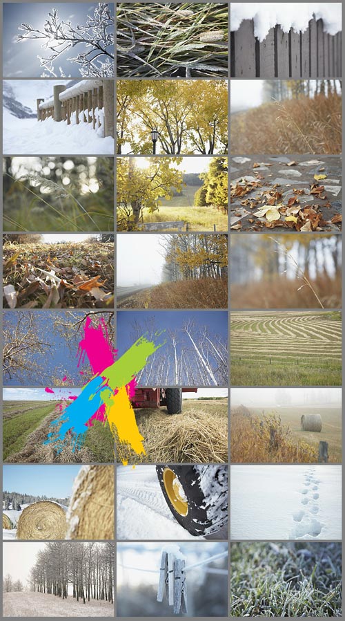 Veer Fancy FAN2040792 Fall to Winter