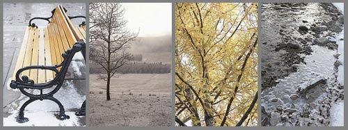 Veer Fancy FAN2040792 Fall to Winter