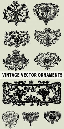 Vintage vector ornaments